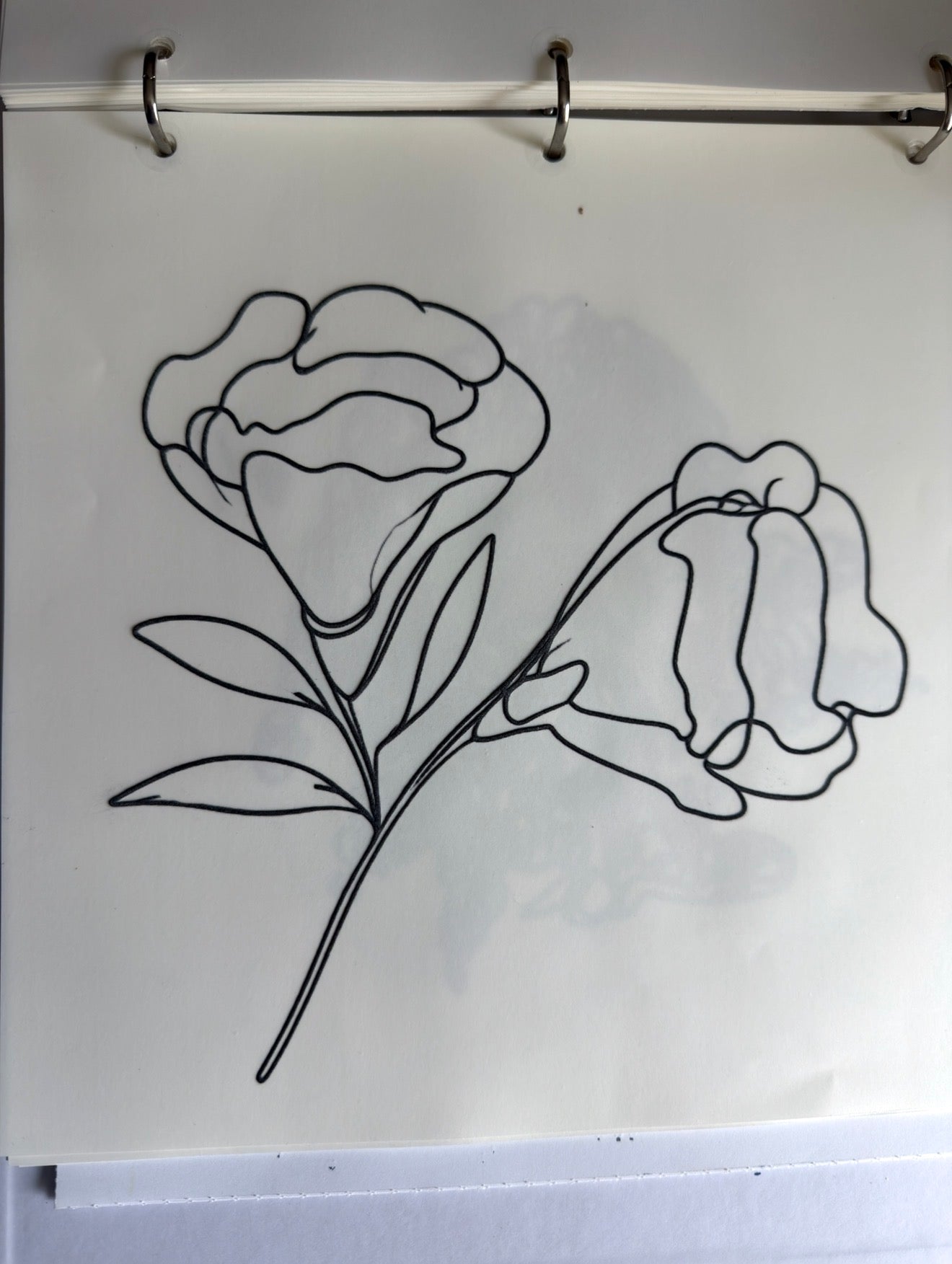 Pirate x Dylan Cervantes “Two Flowers, 2026” Graphic Tee (White)
