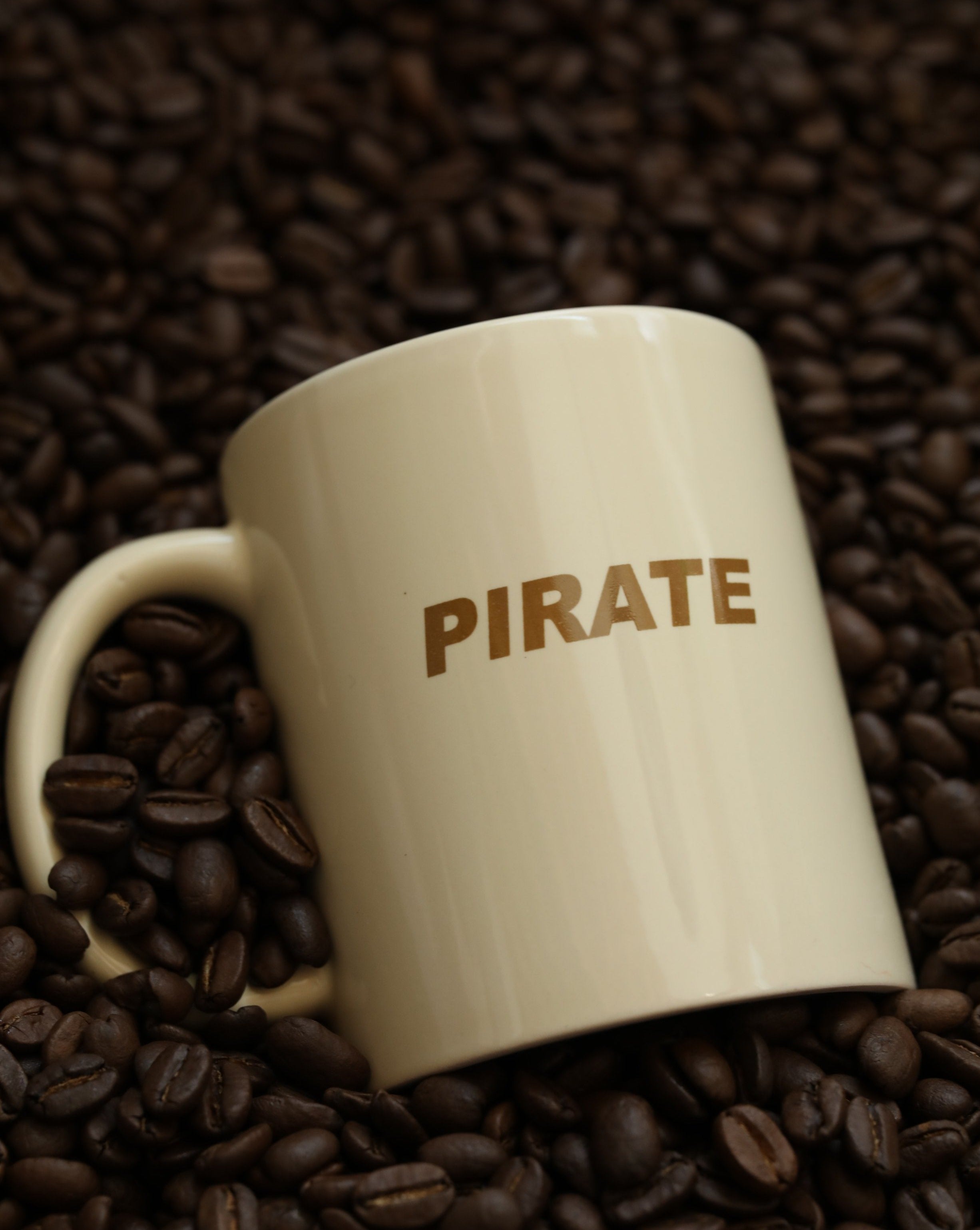 Pirate Cannoli Cream Design Studio Mug