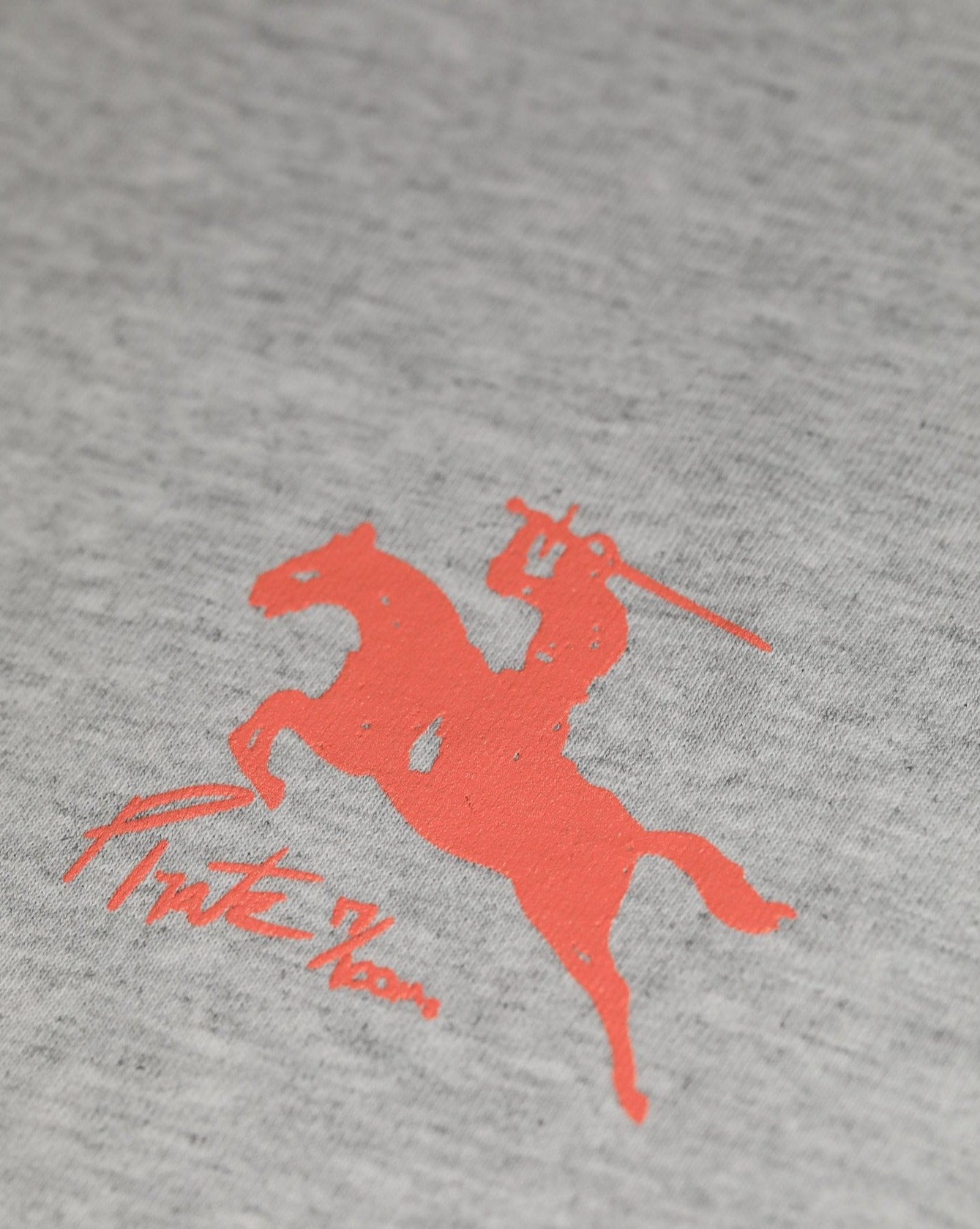 Pirate By Any Means Tee (Grey)