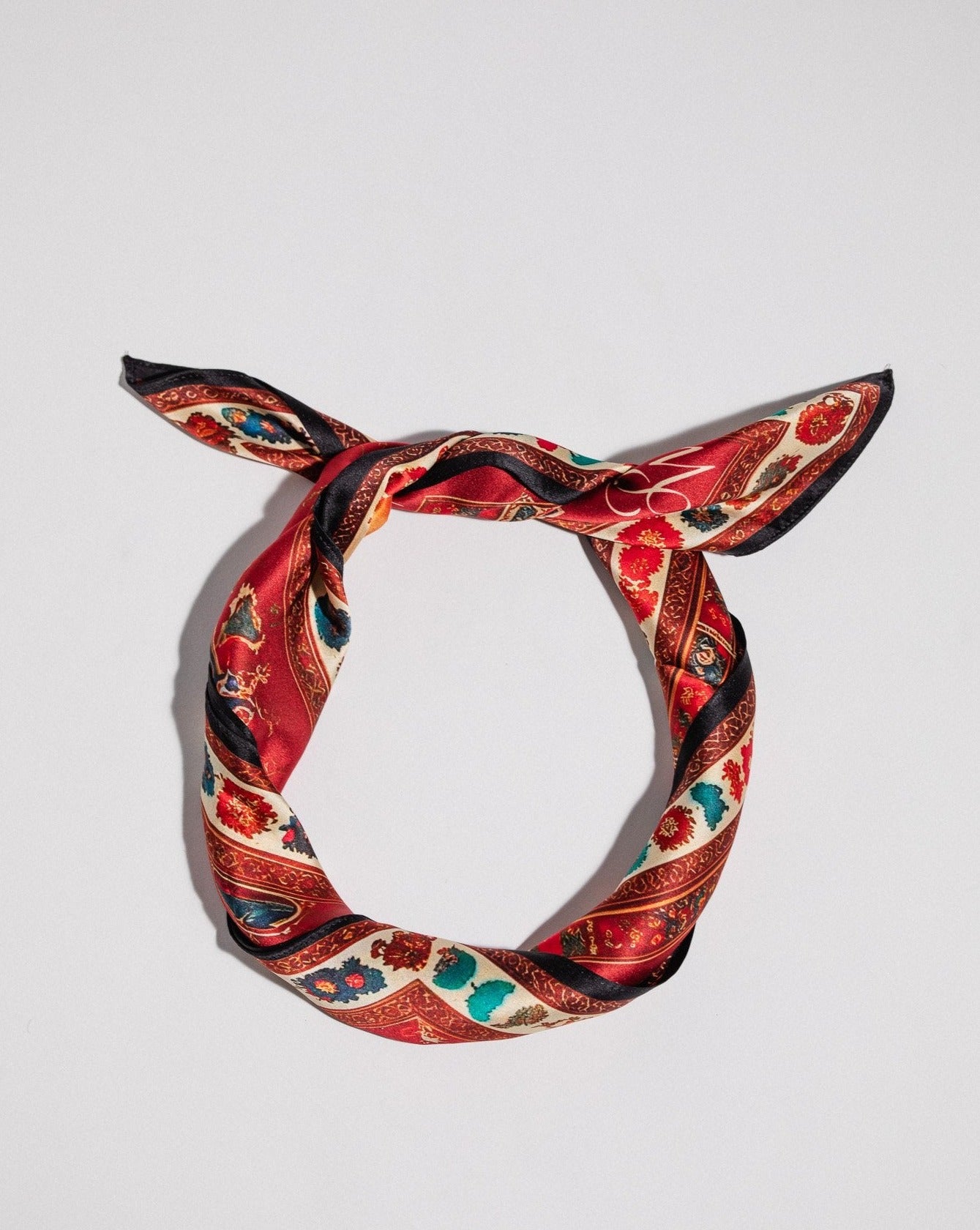 Pirate By Any Means Silk Bandana