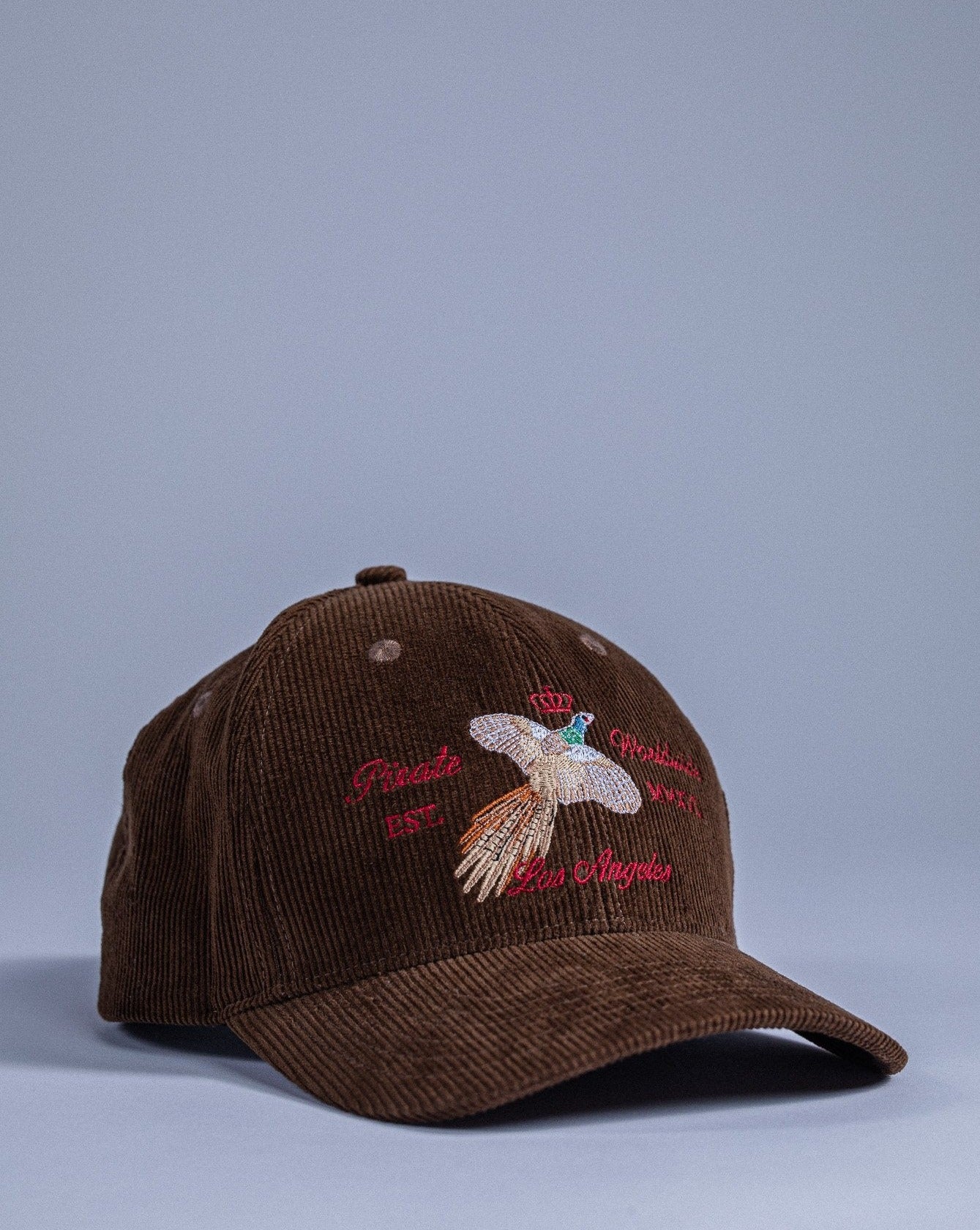 Pirate Birds Eye View Corduroy Hat (Brown)