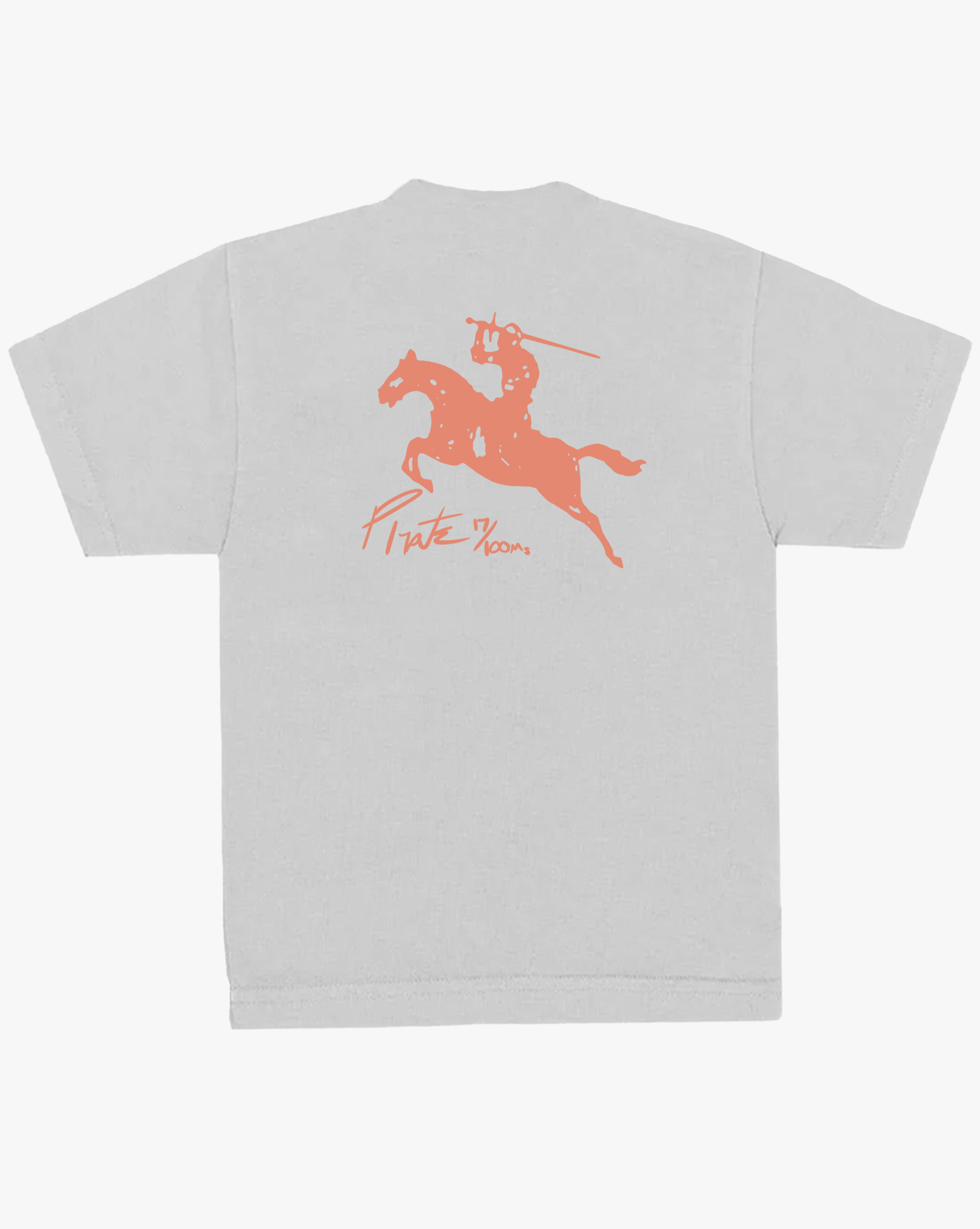 Pirate By Any Means Tee (Grey)